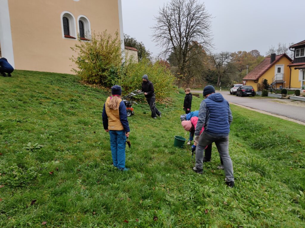 IMG_20241108_150207