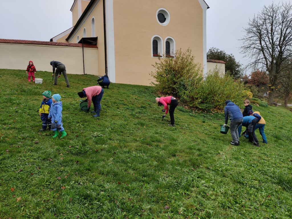 IMG_20241108_150233