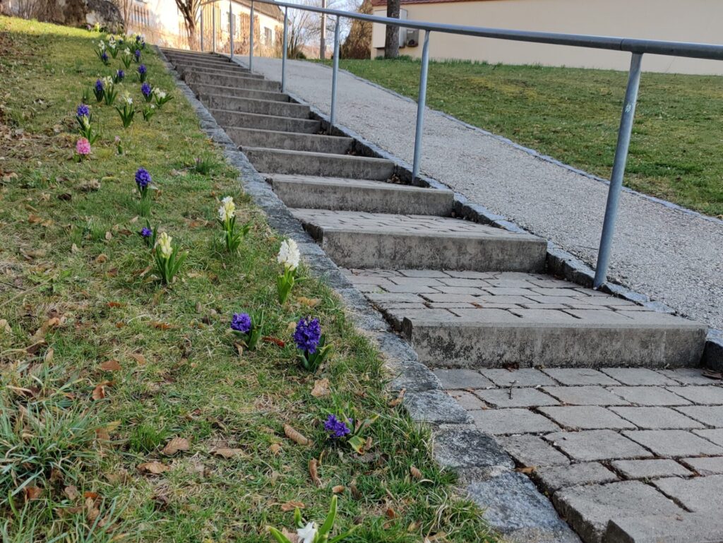 Ergebnis der Pflanzaktion