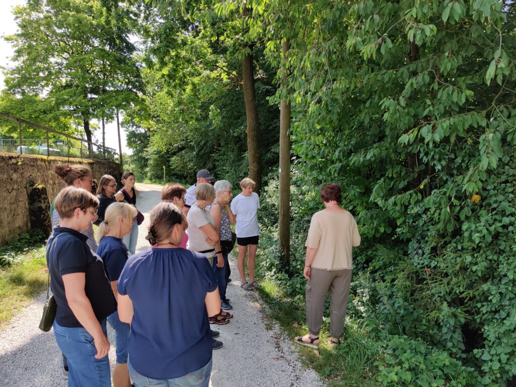 Nach wenigen Metern schon die ersten Kräuter gefunden