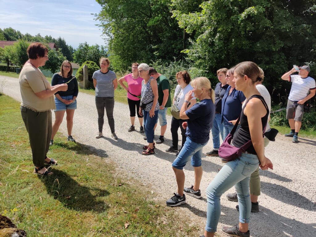 Krauterwanderung_3