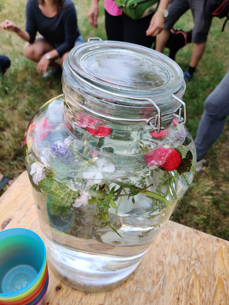 Kräuterwasser mit Blüten