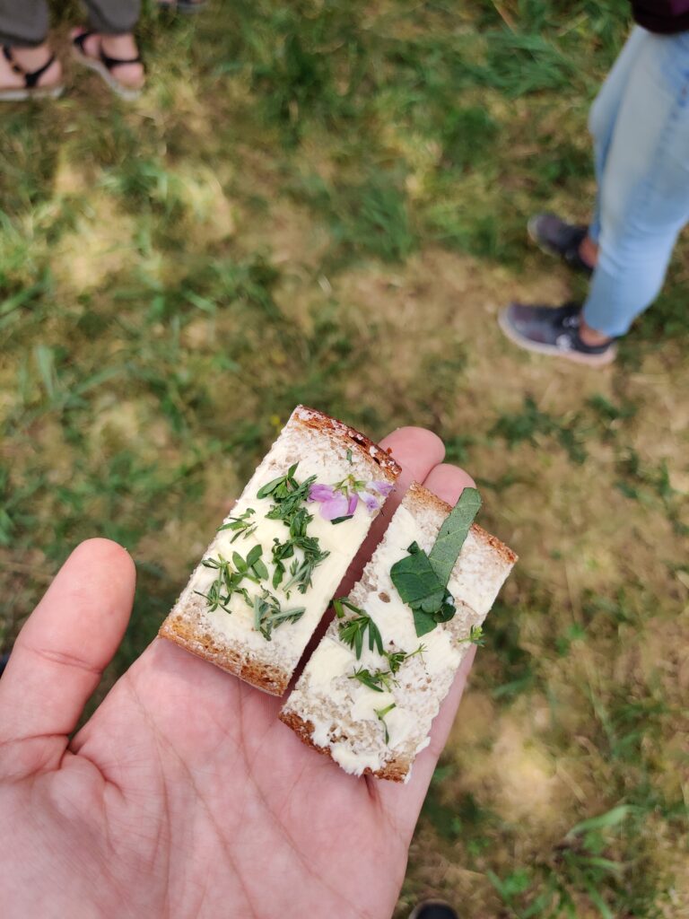 Kräuterbutterbrote