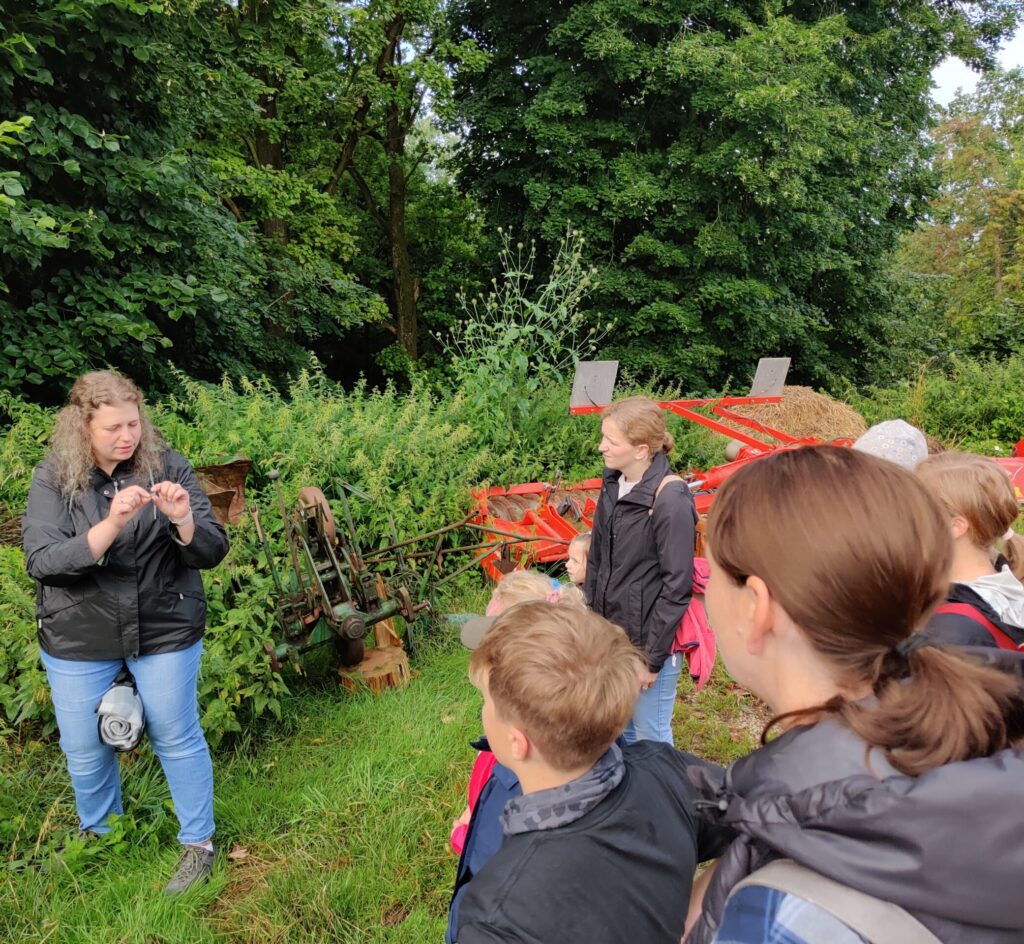 Kinderkraeuter (3)